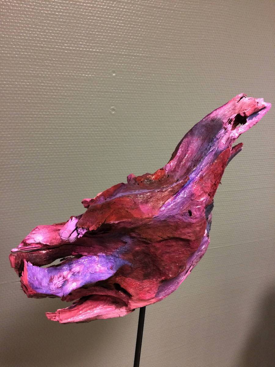 Ma première exposition